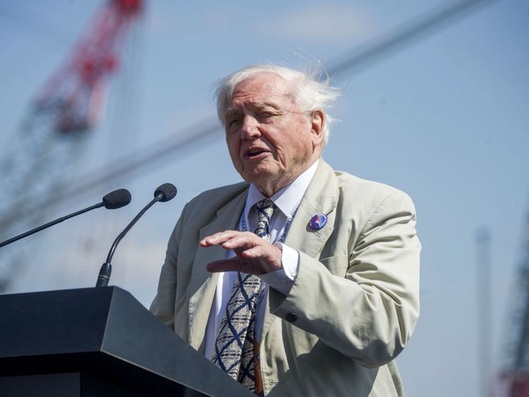 Sir David said he was "honoured" to have the ship named after him