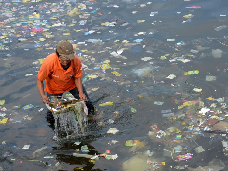 Plastic bags and other rubbish are collected from the waters of Manila Bay on July 3, 2014 during a campaign by environmental activists and volunteers calling for a ban of the use of plastic bags. Volunteers from various environmental advocates collected and separated assorted plastic rubbish polluting Manila Bay and called for national legislation against plastic bags in observance of the 5th International Plastic Bag-Free Day on July 3