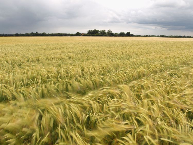 Farming is severely affected by changes in the weather