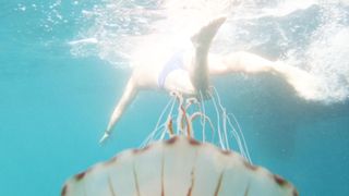 Ocean Campaigner and swimmer Lewis Pugh has reached Brighton on his epic 350 mile swimming challenge from Land&#39;s End to Dover.