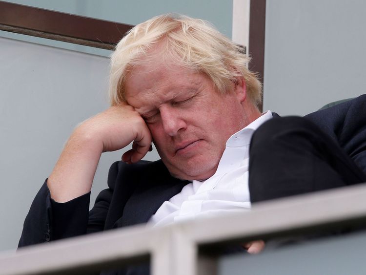 Boris Johnson was pictured relaxing at a Test cricket match between England and India