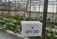 ONDO Smart Farming Solutions shares first customer results in a case study for Roseland customer