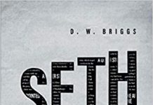 “SETH:  A Novel in Two Parts” by D. W. Briggs is published by New Generation Publishing